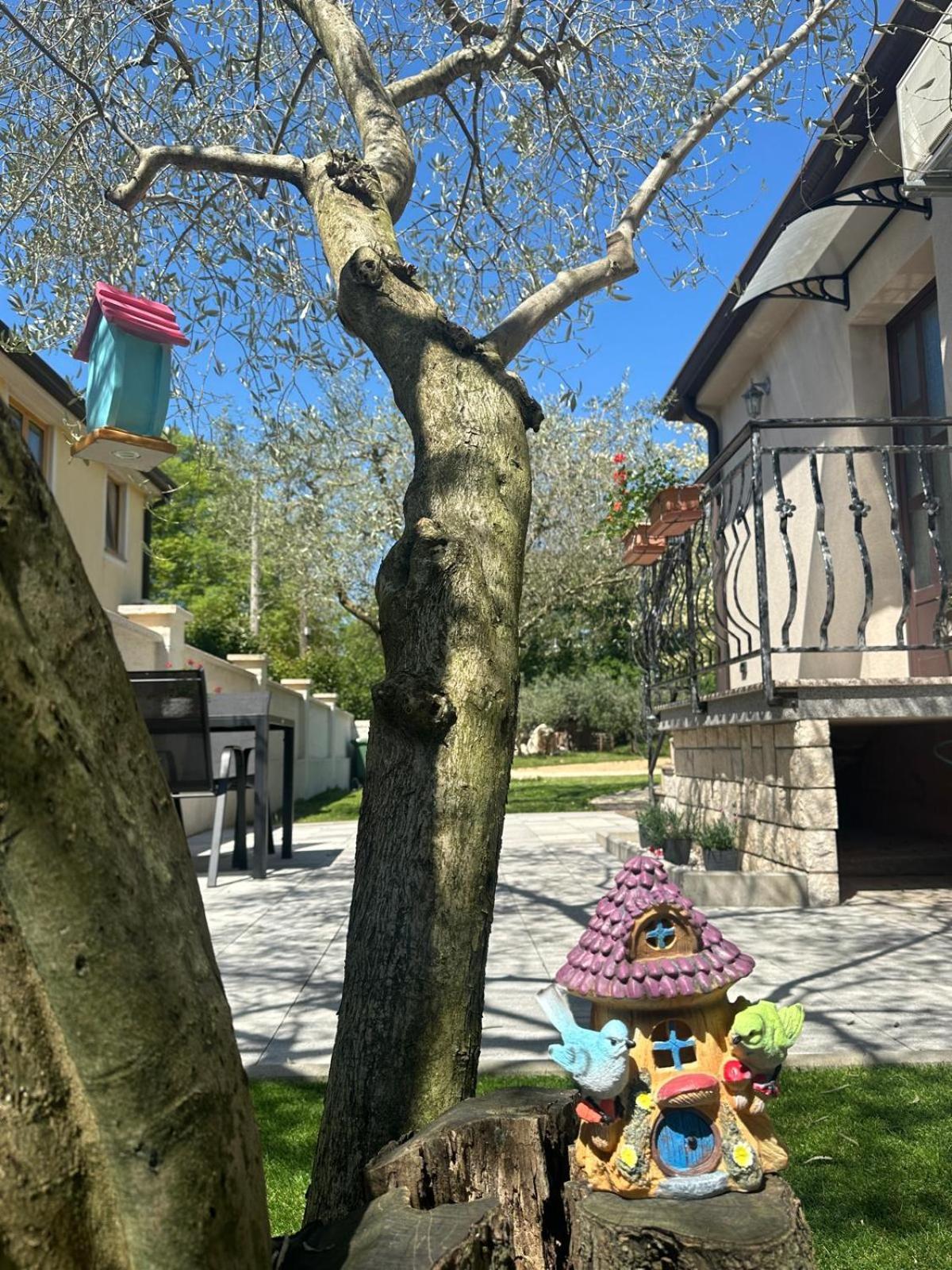 Apartment Nina With Private Pool Nova Vas  Εξωτερικό φωτογραφία